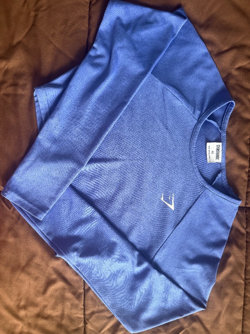 Training long sleeve crop top